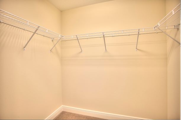 Bradford Model Closet