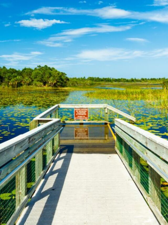 Why are Homes in Port St. Lucie so Valuable? Synergy Homes