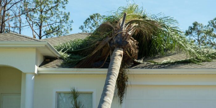 A tree fallen on top of a house shows poor planning for a hurricane proof house.