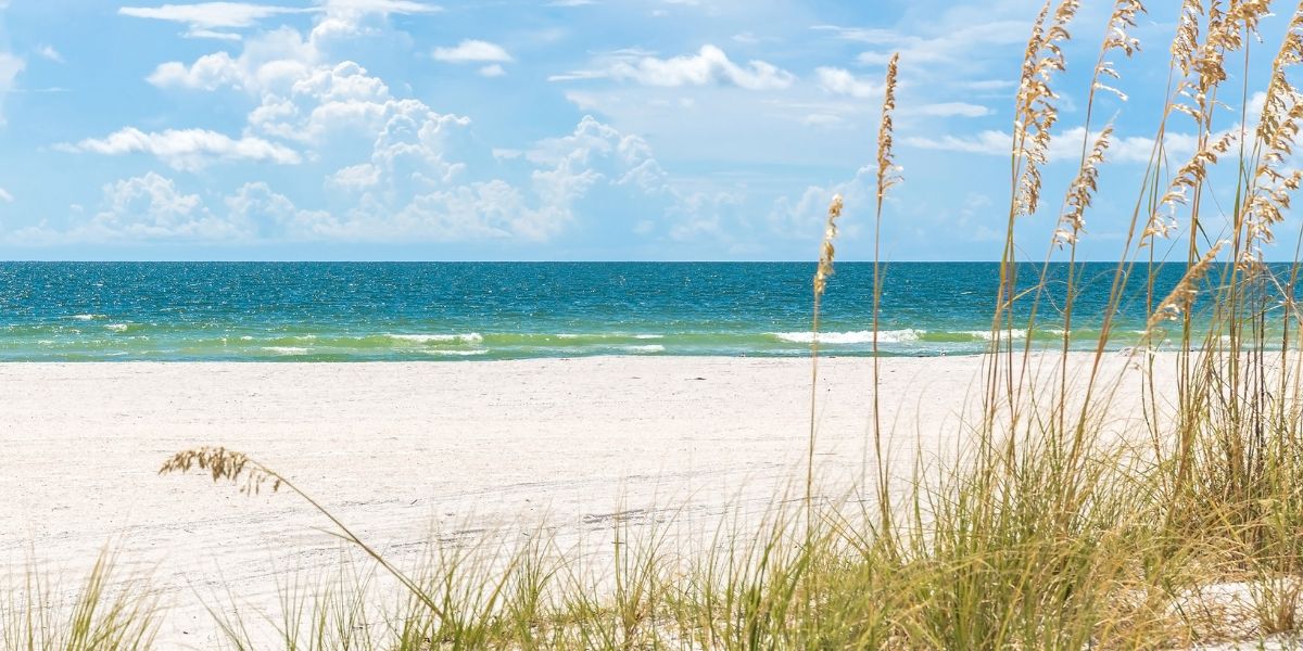 The Pros and Cons of Retiring in Florida Synergy Homes