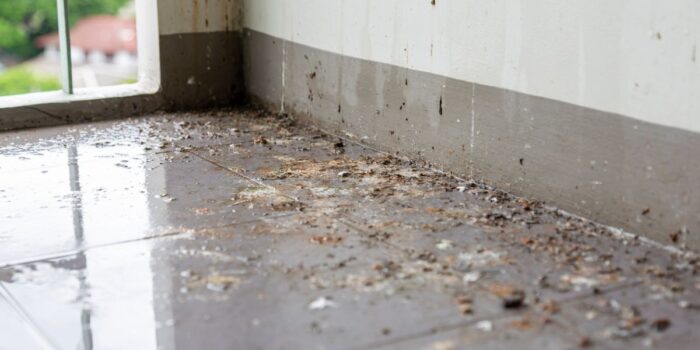 Flooding in a home is one example of damage if you ignore weatherizing your home.