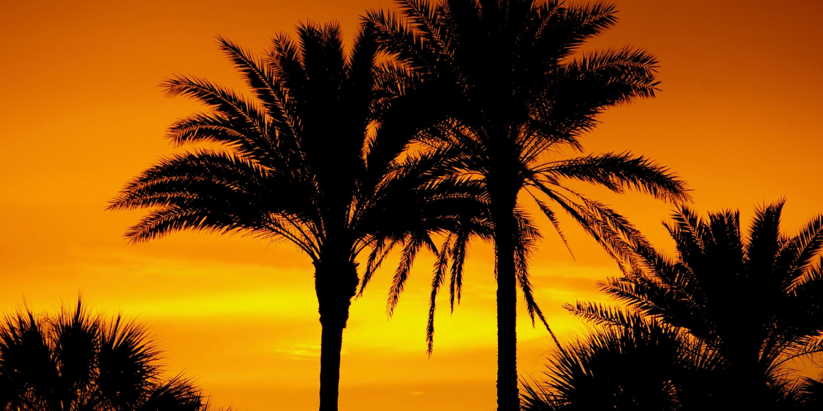 When is the Best Time to Move to Florida? Synergy Homes